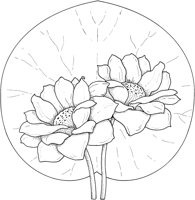 WFD053A.TIF