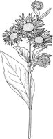 WFD049A.TIF