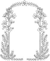 WFD048A.TIF