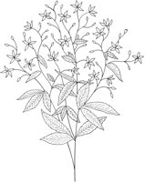 WFD042A.TIF