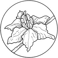 WFD041B.TIF
