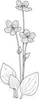 WFD041A.TIF