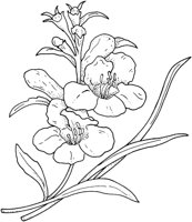 WFD040C.TIF