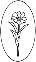 WFD040B.TIF
