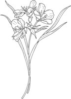 WFD040A.TIF
