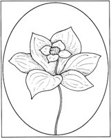 WFD039C.TIF