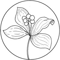 WFD039A.TIF