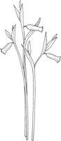 WFD038A.TIF