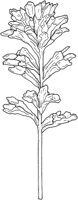 WFD037C.TIF