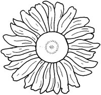 WFD037A.TIF