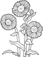 WFD036D.TIF
