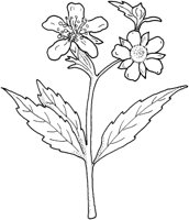 WFD036A.TIF