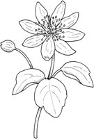 WFD035B.TIF