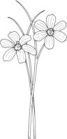 WFD035A.TIF