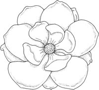 WFD034A.TIF