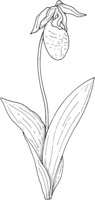 WFD033B.TIF