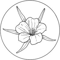 WFD033A.TIF