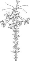 WFD032C.TIF