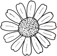 WFD032A.TIF