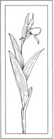 WFD031C.TIF