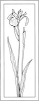 WFD031B.TIF