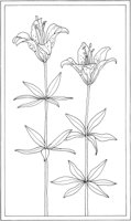 WFD030A.TIF