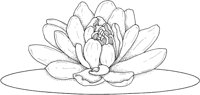 WFD029A.TIF