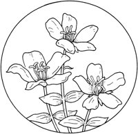 WFD028A.TIF
