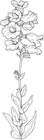WFD027A.TIF