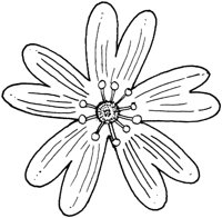 WFD026C.TIF