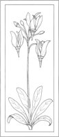 WFD022A.TIF
