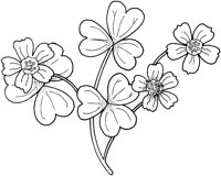 WFD017A.TIF