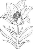 WFD016B.TIF