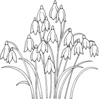 WFD015C.TIF