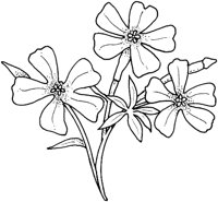 WFD015B.TIF