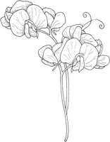 WFD015A.TIF