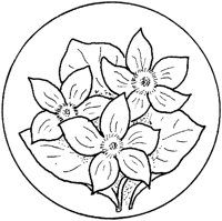 WFD014D.TIF