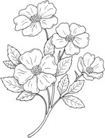 WFD014C.TIF