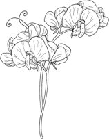 WFD014B.TIF