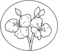 WFD014A.TIF