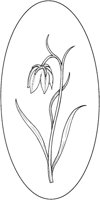 WFD013B.TIF