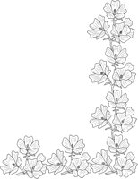 WFD013A.TIF