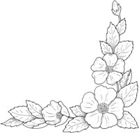 WFD011C.TIF
