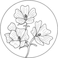 WFD011B.TIF