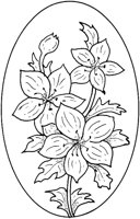 WFD010C.TIF