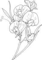 WFD010B.TIF