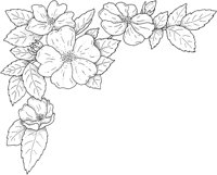 WFD010A.TIF