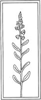 WFD009D.TIF