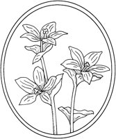 WFD009A.TIF