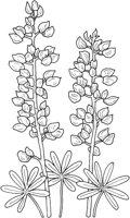 WFD008C.TIF